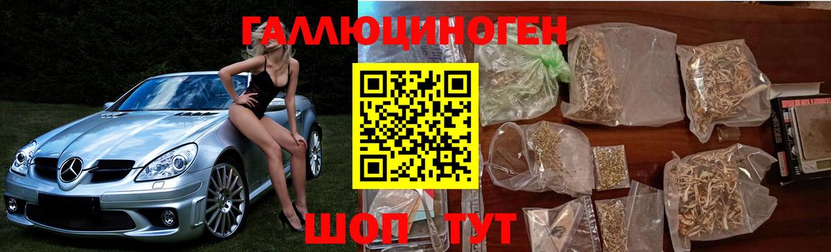 Псилоцибиновые грибы Psilocybine cubensis  Вход с VPN  Кизляр 